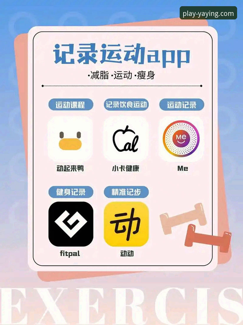 亚盈体育手机版使用教程：从下载到精通，资深用户带你玩转官方App